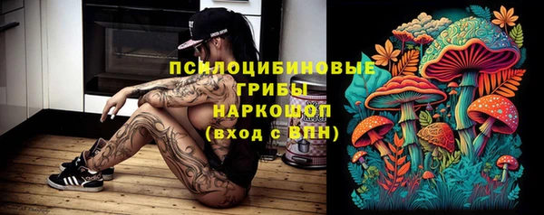дживик Белокуриха