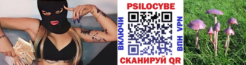 omg зеркало  Воскресенск  Галлюциногенные грибы прущие грибы 